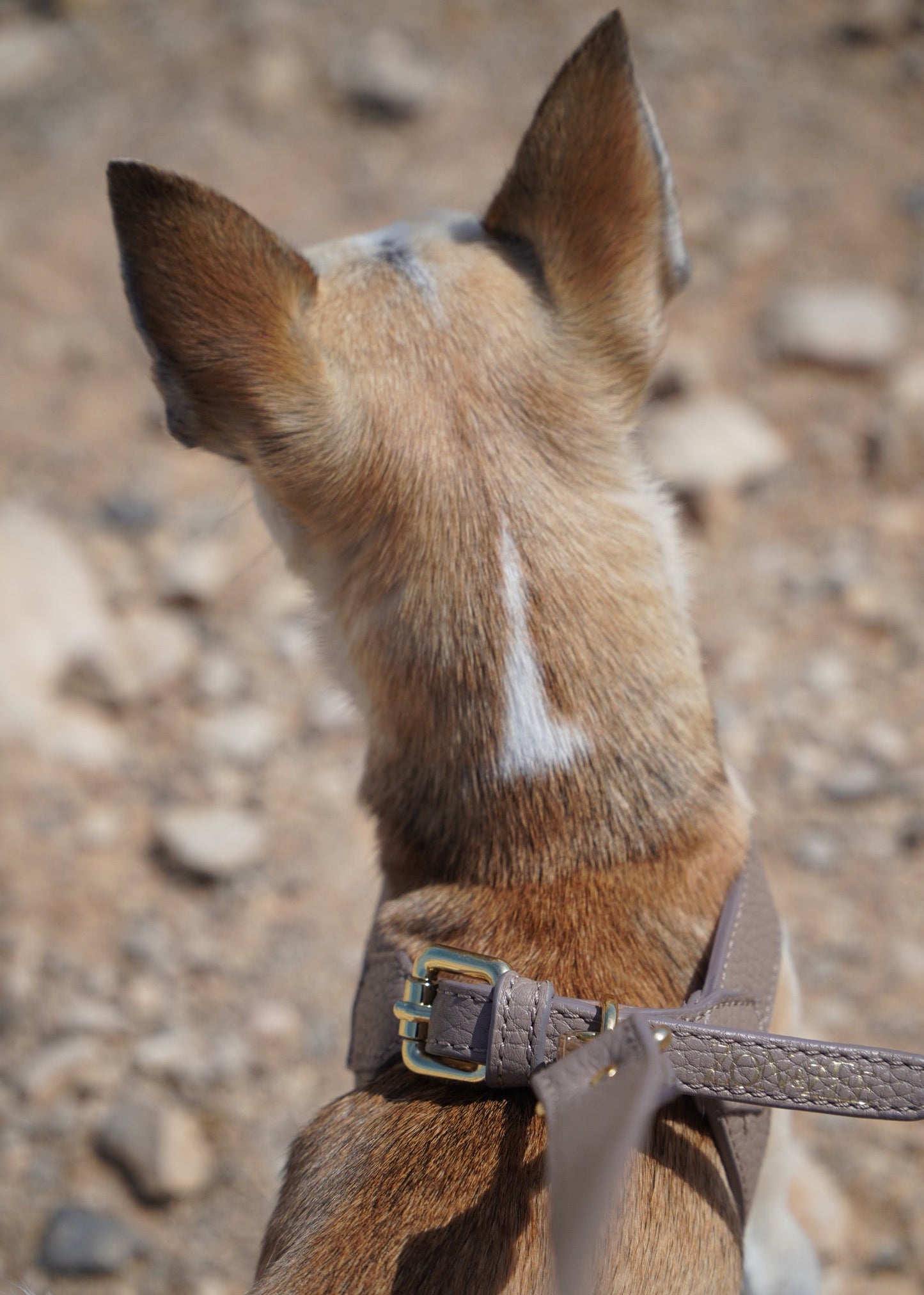 Taupefarbenes Geschirr